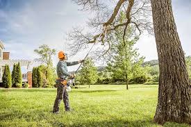 How Our Tree Care Process Works  in  Mcloud, OK